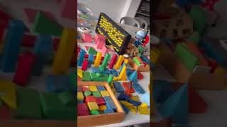 Brain Tree Global School Videos