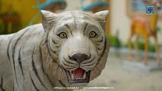 Sacred Heart School Videos