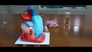 Vivekanand Mission School Videos