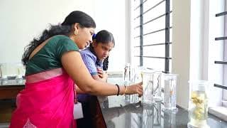 KNE Public School Videos