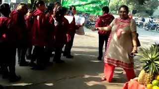 Vidya Niketan Public School Videos