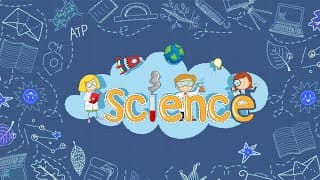 The Paradise International School Videos
