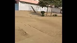 New Age Public School Videos