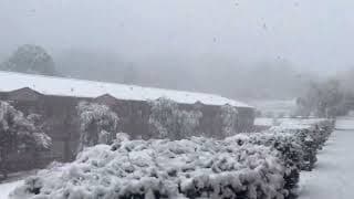 Ashok Hall Girls' Residential School  Videos