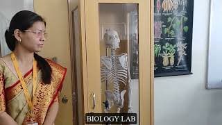 Birla Open Minds International School Videos