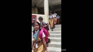 Maharishi Vidya Mandir School Videos