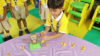 The Paradise Academy Videos