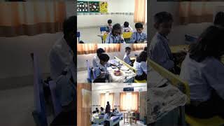 St. Teresa School Videos