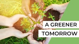 Eco-STEM Explorers: Young Minds Building a Greener Tomorrow at Tiny Tots English School, Pune