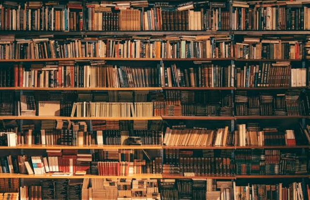 The Impact of a Well-Stocked Library at GD Goenka International School, Rohtak