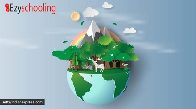 World Environment Day- Is It Too Late Yet?