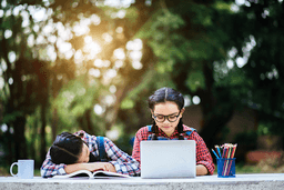 Sunset Reflections and Stone Corridors: Character Building at The Scindia School