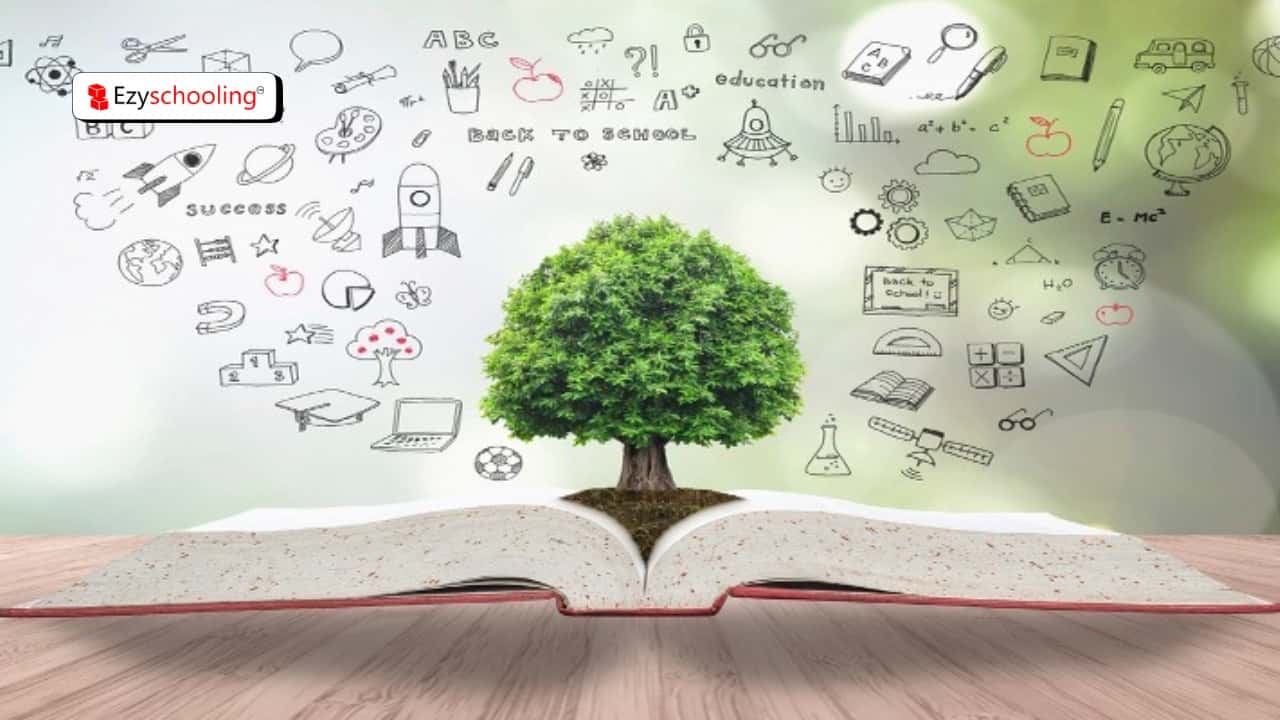 Innovative Approaches in Education: Future Skills and Sustainability Program at MRIS Charmwood