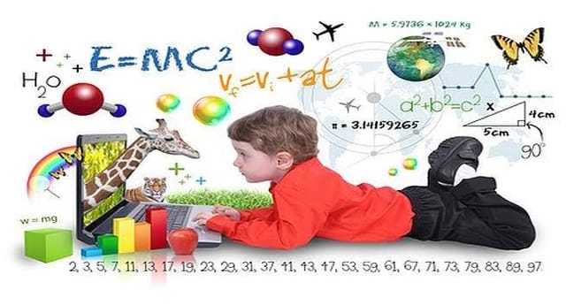 Smart Learning for Smarter Kids: LogIQids Program at Satya School