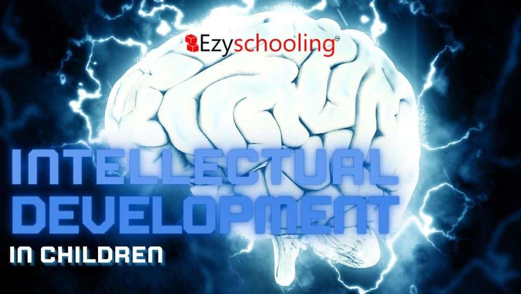 Exploring Intellectual Development at Vijaybhoomi School