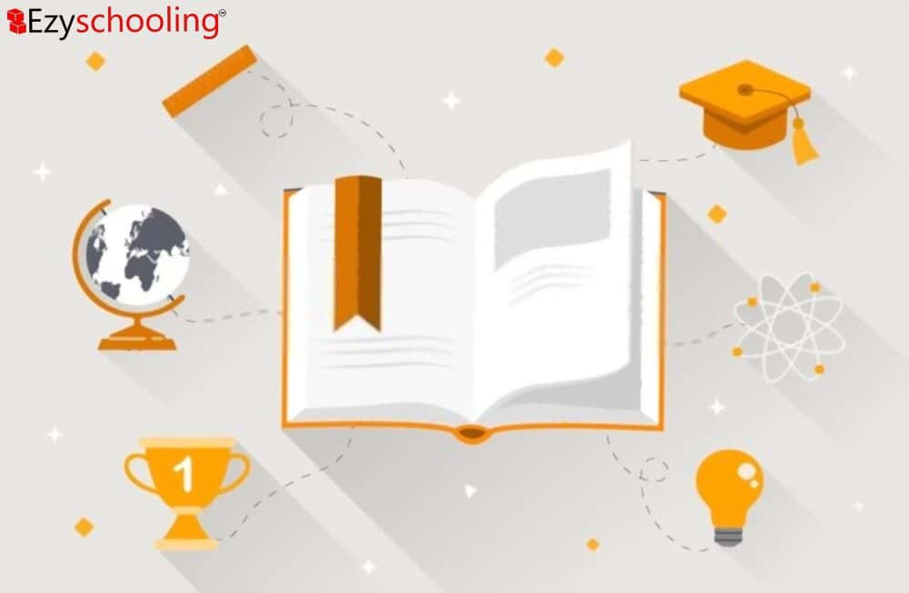 How IBDP Curriculum Structure is Designed for Student Success