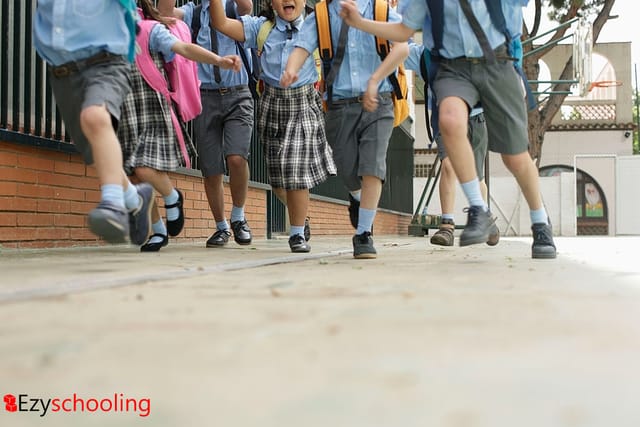 Pros and Cons of Transferring Schools