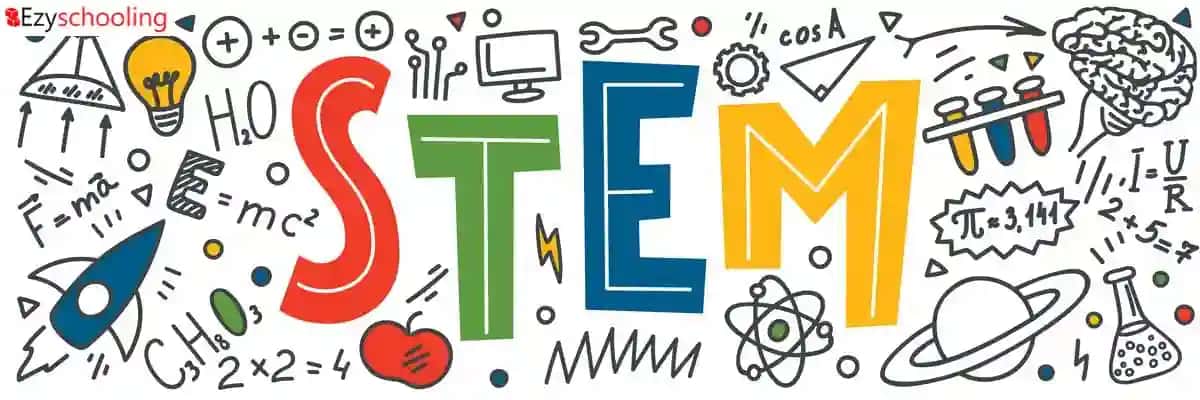 Decoding STEM And The Misconceptions Around It