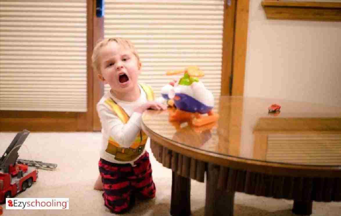 Why Toddler’s have tantrums- The science behind it