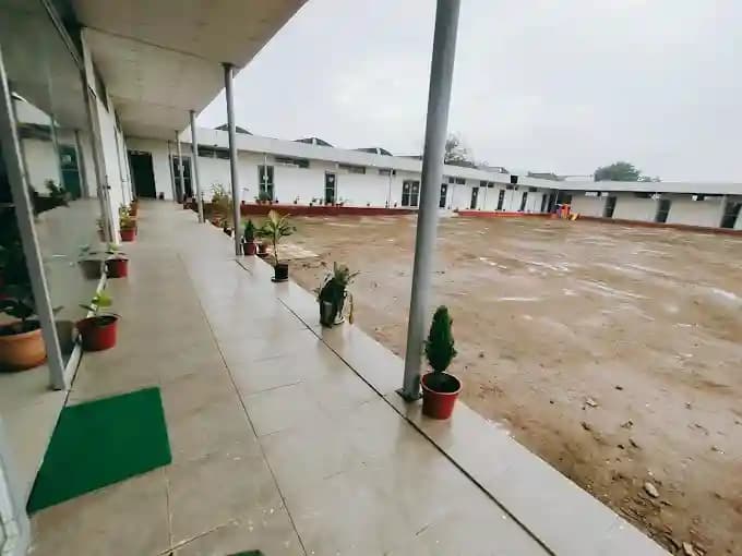 View All