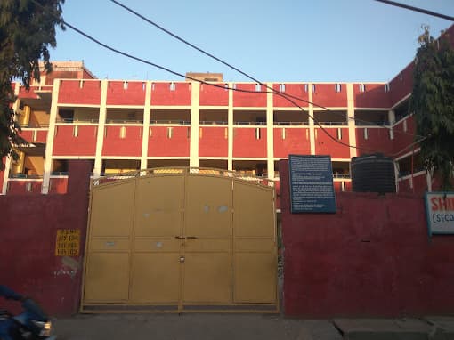 View All
