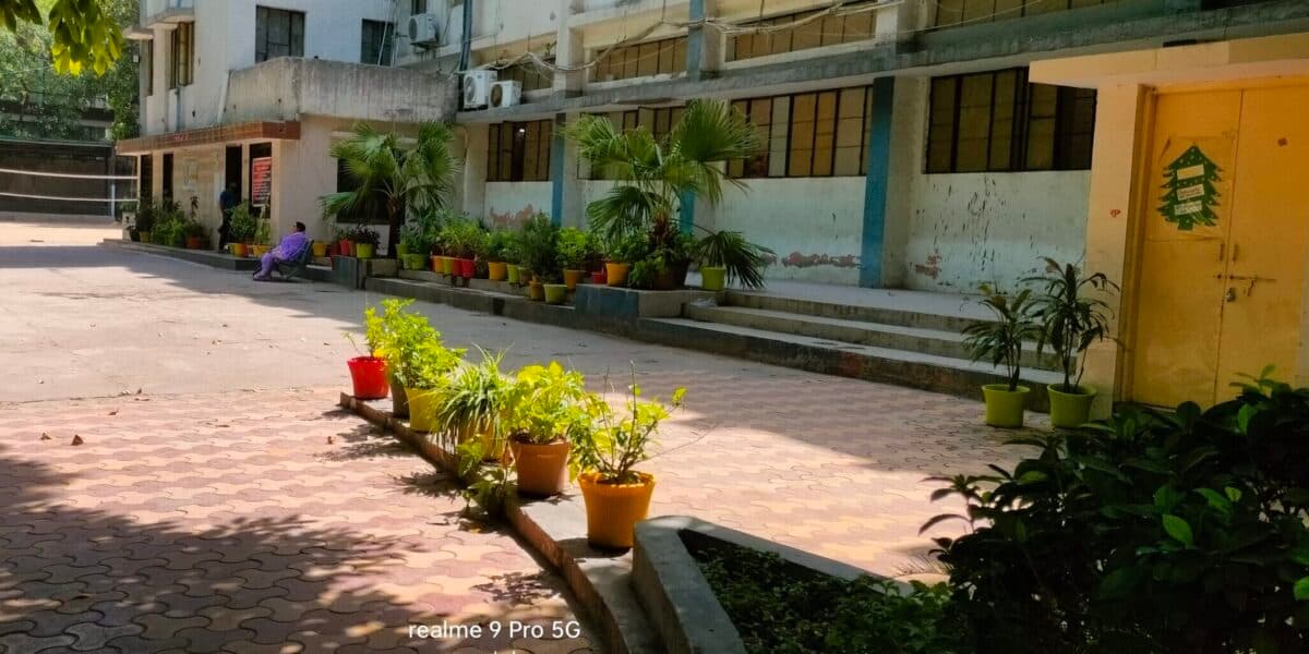 View All