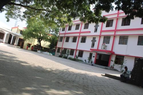 View All