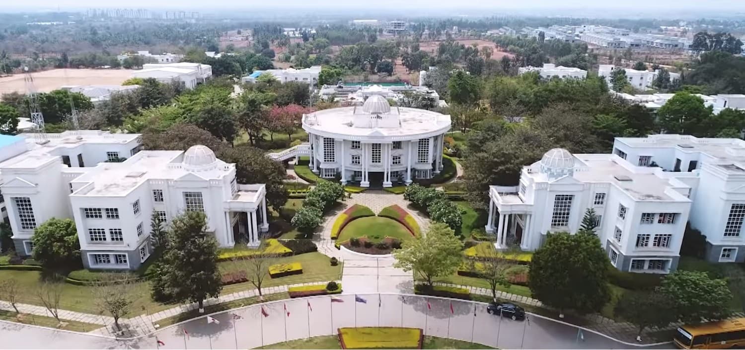 View All