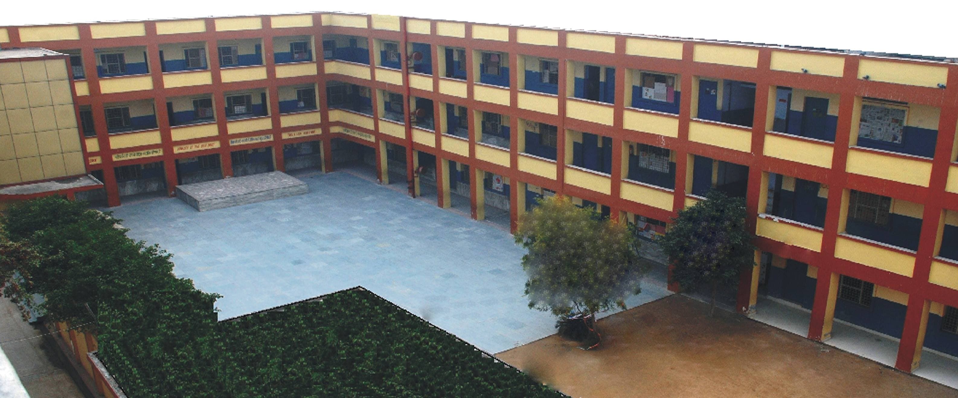 View All