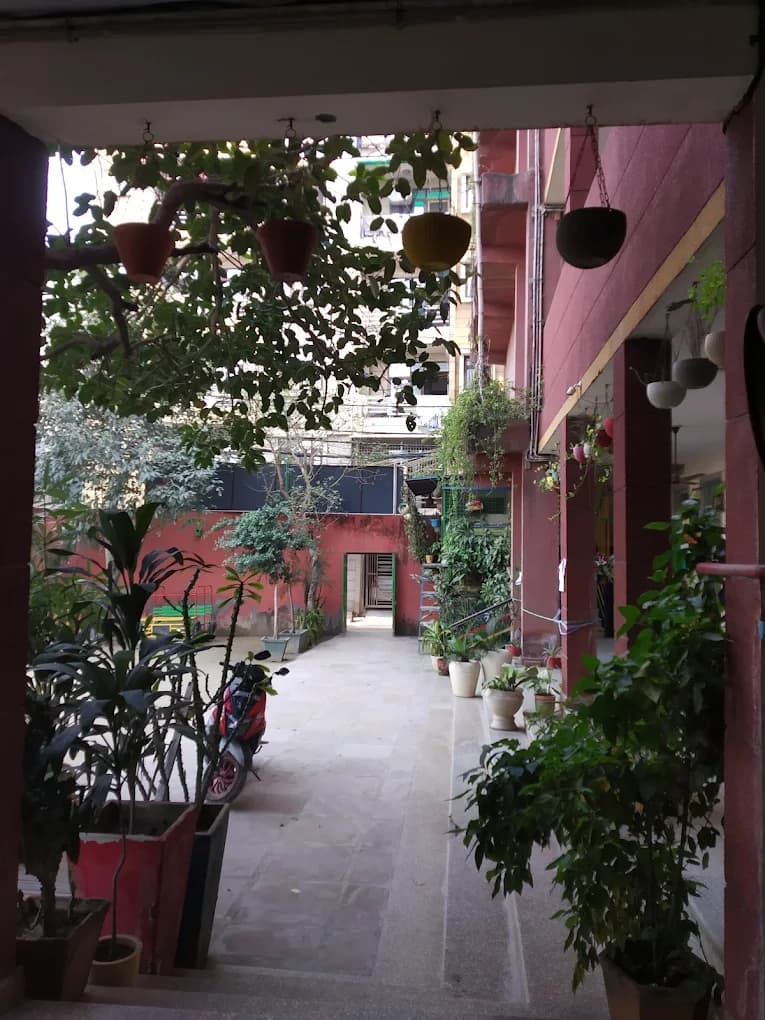 View All