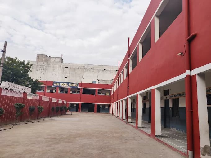 View All