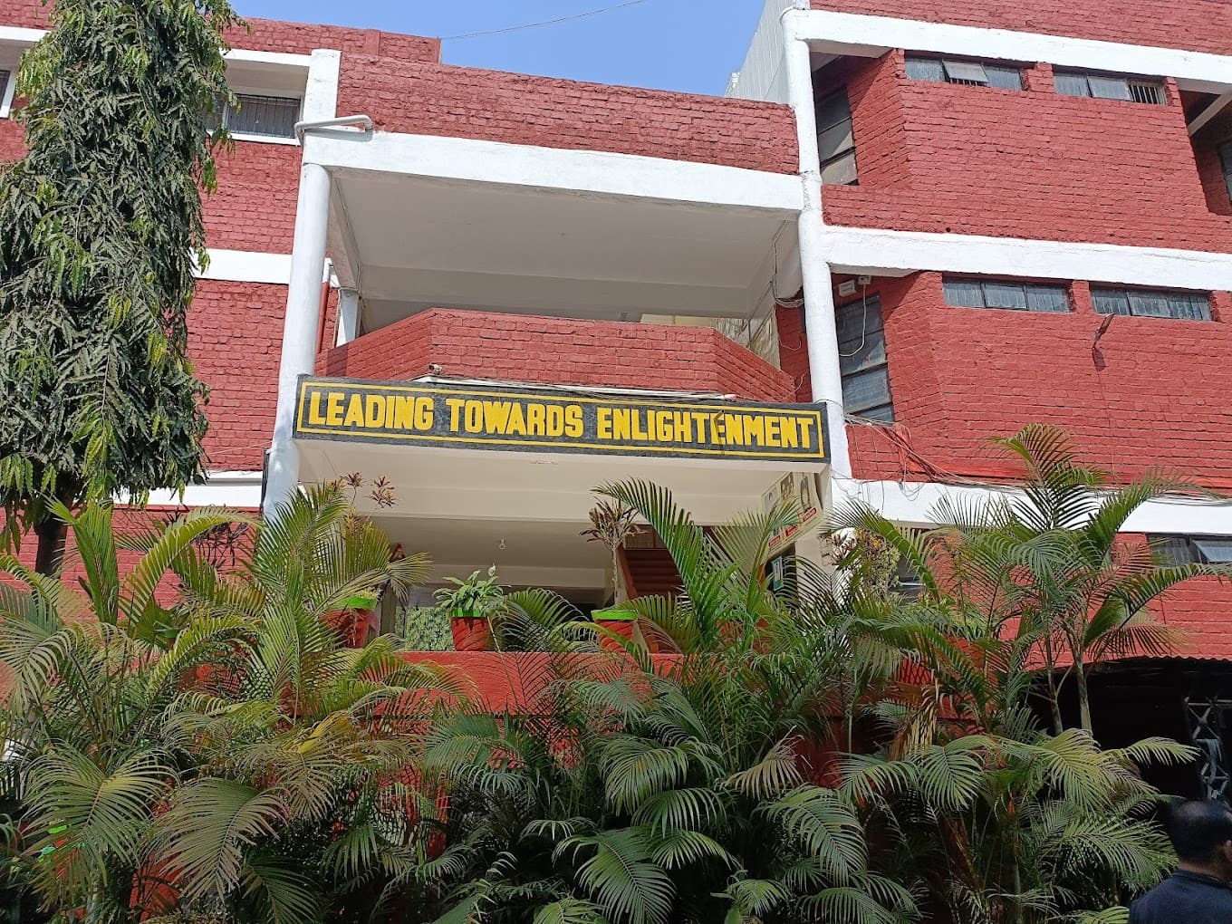View All