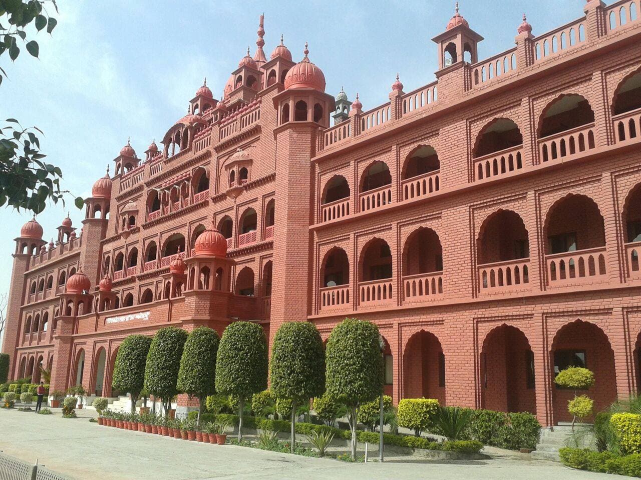 View All
