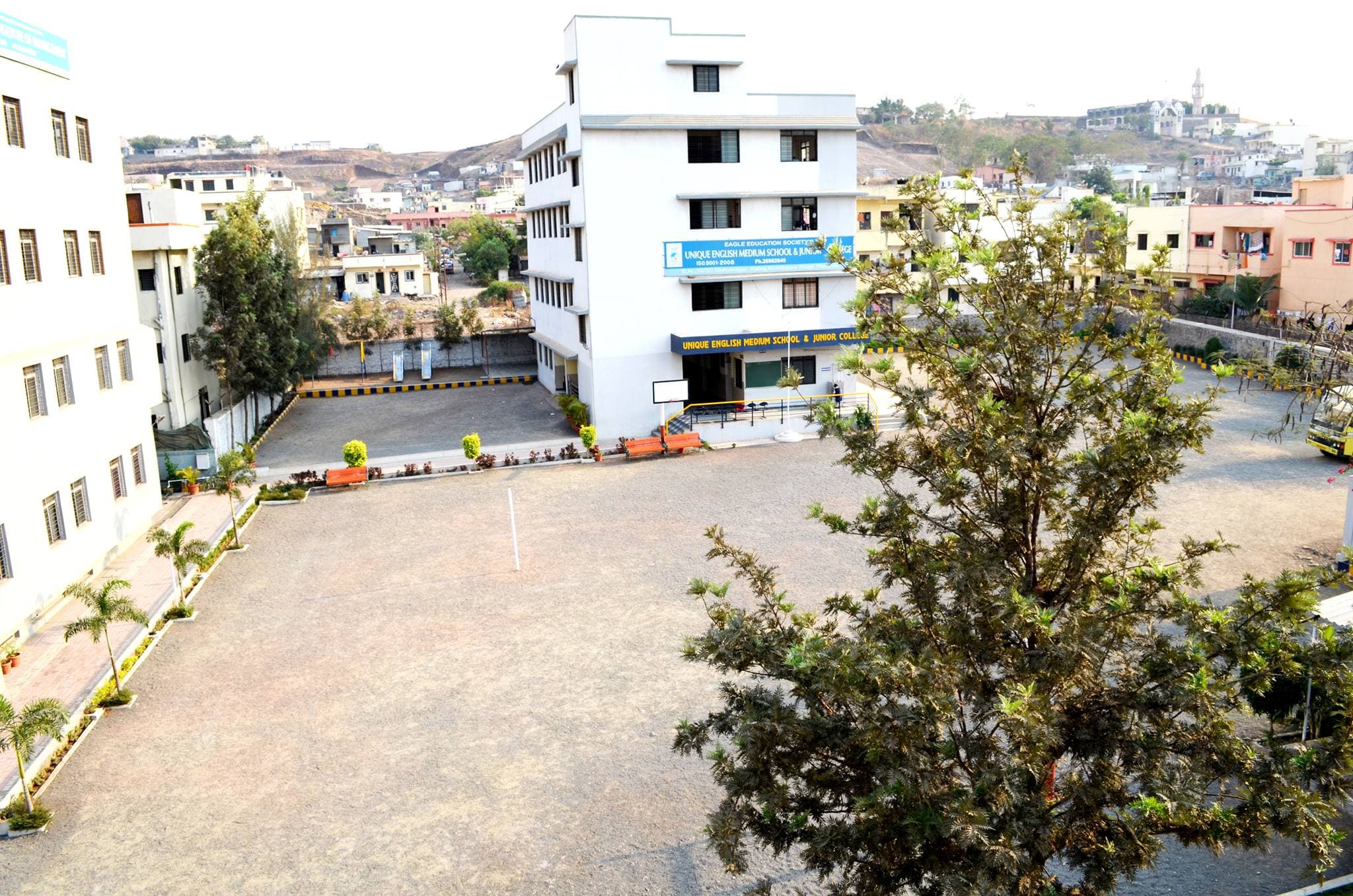 View All