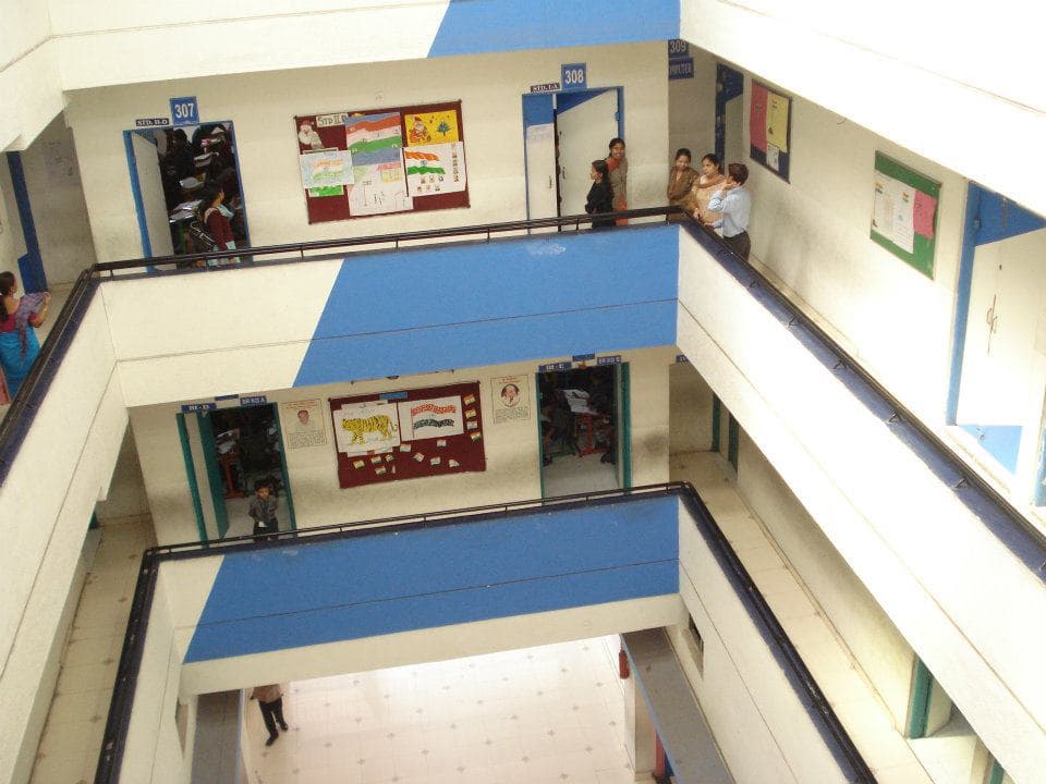 View All