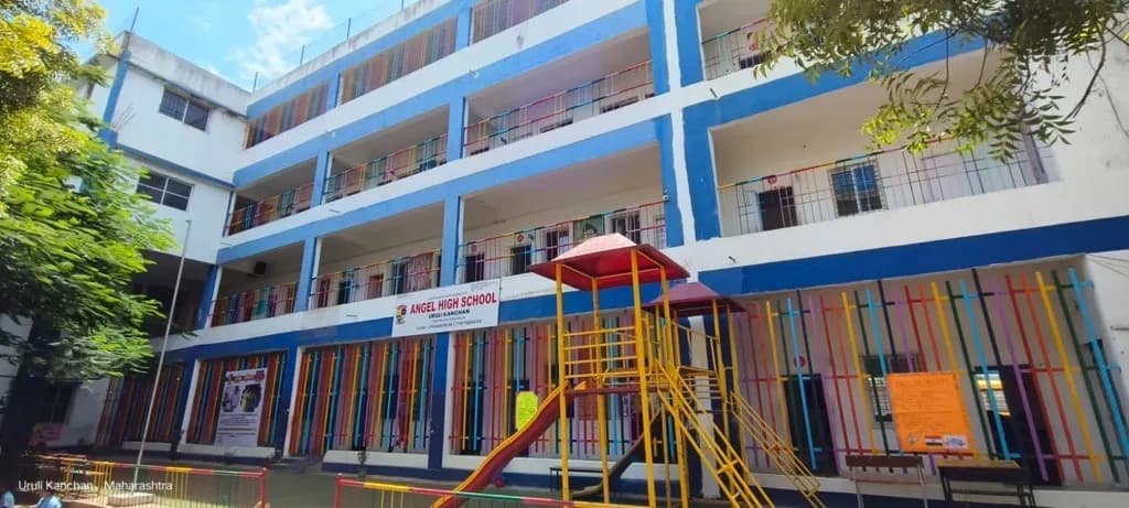 View All