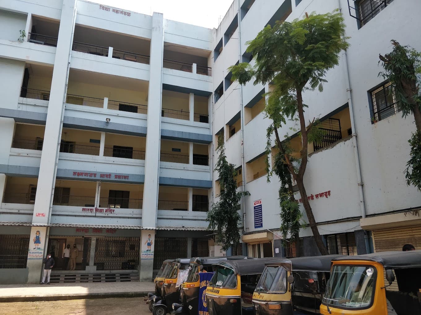 View All