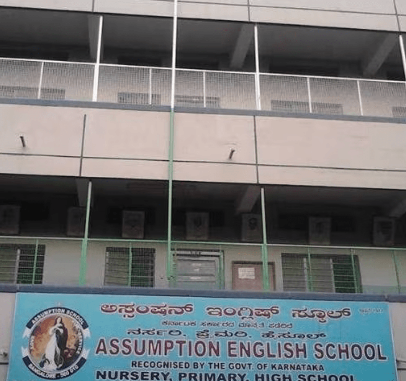 View All