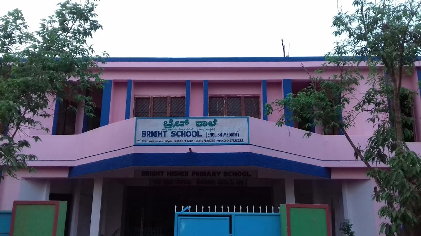 View All