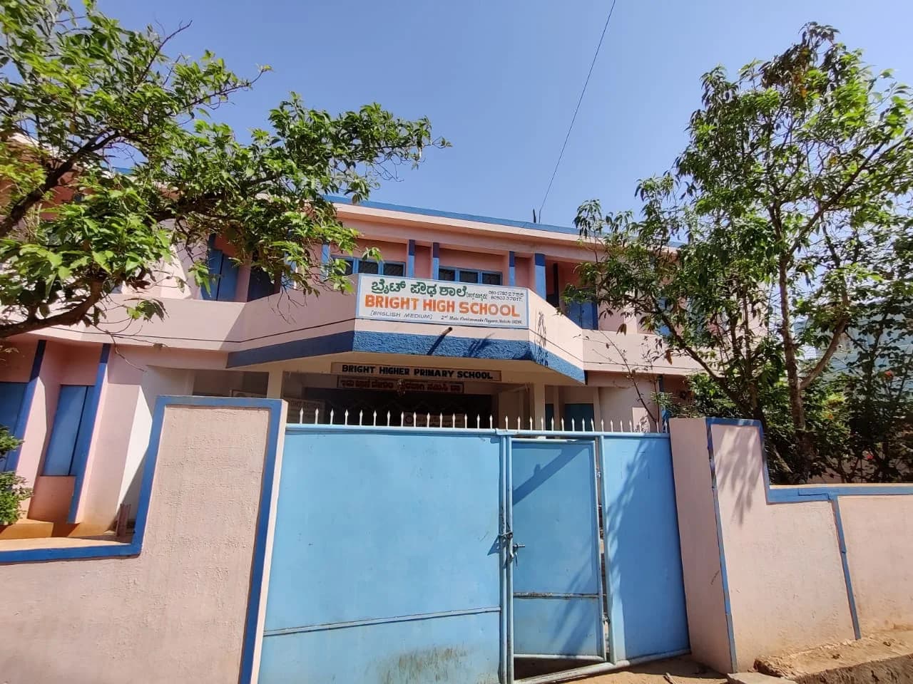 View All
