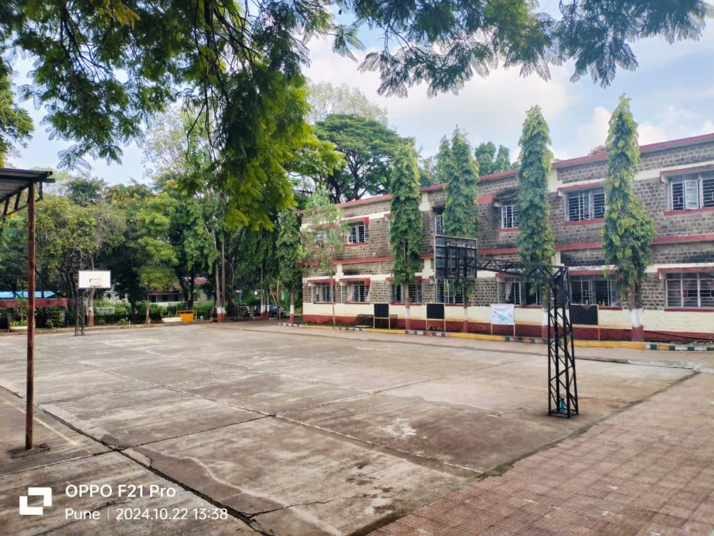 View All