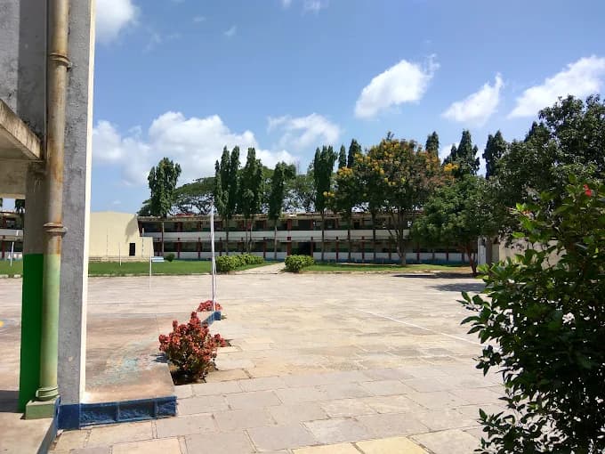View All