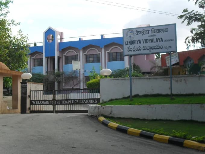 View All