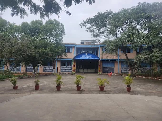 View All
