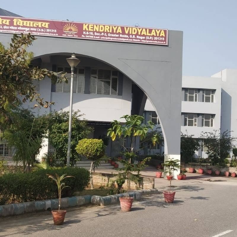View All