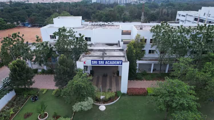 View All