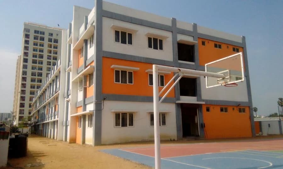 View All
