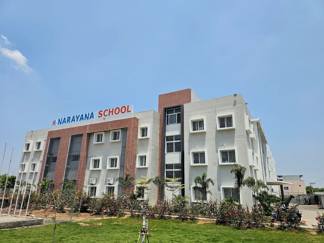 View All