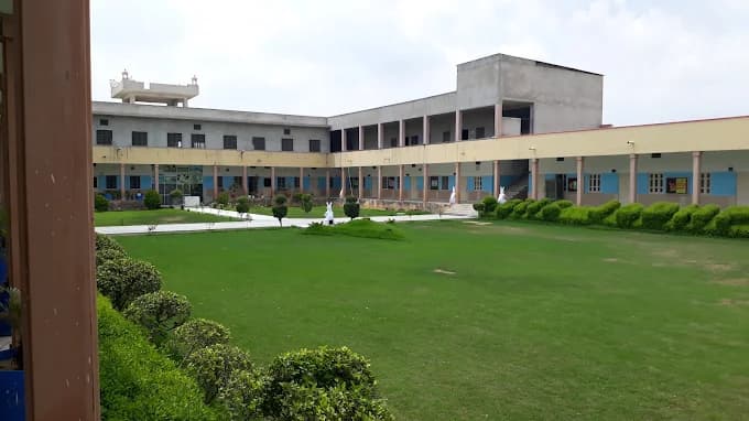 View All