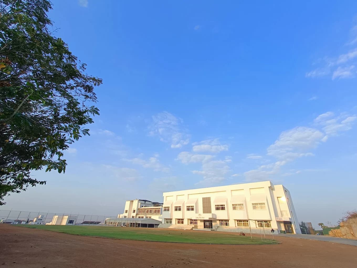 View All